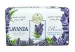 6642-03-Fiorentini-Lavender-837524000168.jpg