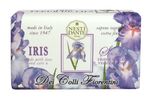 6642-05-Fiorentini-Iris-837524000144.jpg