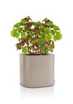 4008789159076-PILA-Color-Planter-35-sandbraun-2.jpg
