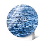 Relaxound-OceanBox-FrontLow-03-1024x1024.jpg