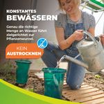 4113557----HCP-S4-BioGreen-Hydro-Cup-Tonkegel-mit-Becheraufsatz--4er-Set_4.jpg