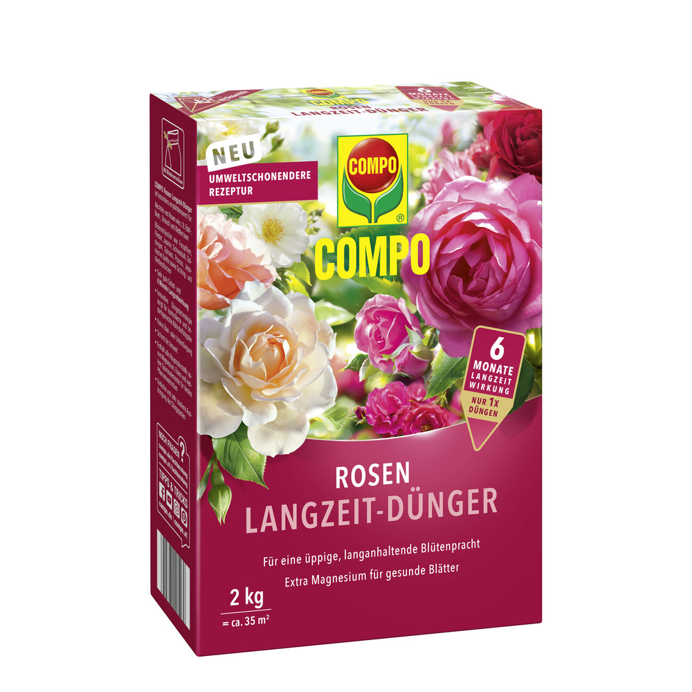 aloe pflanze kaufen Baumaloe, Aloe arborescens  toskanagartenshop