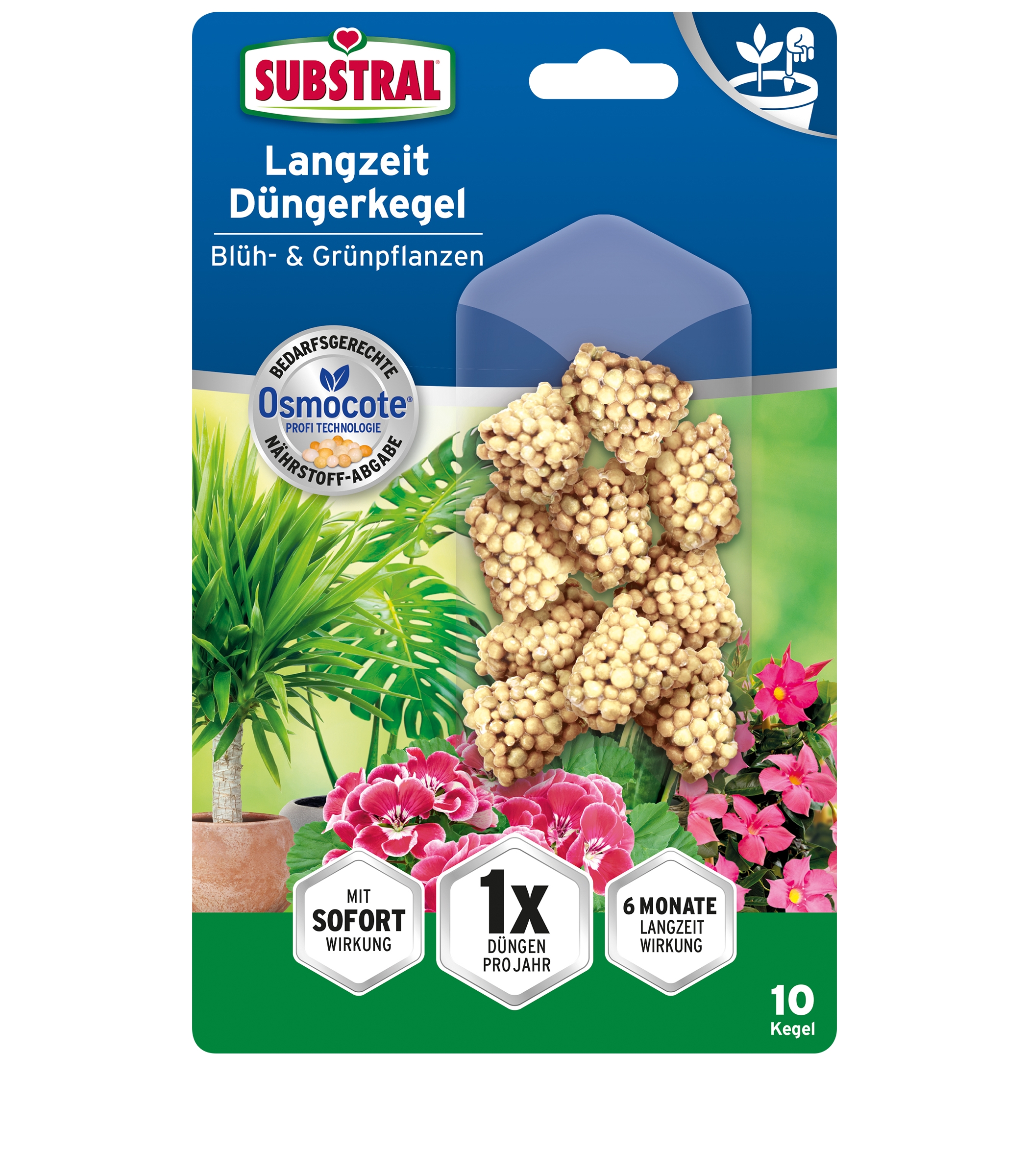 Substral Langzeit Dngerkegel Blh- & Grnpflanzen 10 Stck |  meingartencenter24.de - Garten Online Shop & Weber Grill Store