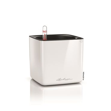 LECHUZA CUBE Glossy 14 Komplettset weiß-highgloss