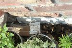 4114281-BA86601226-Protect-Home-Lebendfalle-Maus-Drahtkaefig.JPG