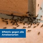 4114289-BA86601112-Protect-Home-FormineX-Ameisen-Koeder-Multi-3-Stueck_3.jpg