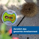 4114289-BA86601112-Protect-Home-FormineX-Ameisen-Koeder-Multi-3-Stueck_5.jpg