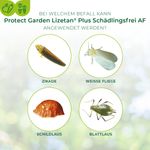 4114291-BA86600893-Protect-Garden-Lizetan-Plus-Schaedlingsfrei-AF-500ml_3.jpg