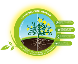 4114490-BA86601088-Solabiol-Rasenduenger-10kg_2.png 4114490-BA86601088-Solabiol-Rasenduenger-10kg_2.png