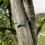 06737-endlos-universalbinder-05.jpeg