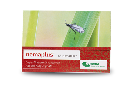 nemaplus SF Nematoden gegen Trauermücken 1 Mio.