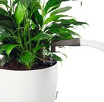 getfile--11-.jpg