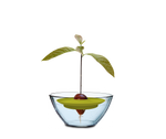 16293095-a-print.png
