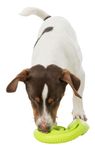 227810-PHO-PRO-DOG-CLIP-34950-1.jpg