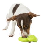 227811-PHO-PRO-DOG-CLIP-34950-2.jpg