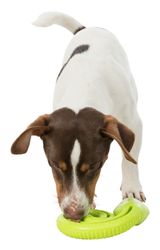 227810-PHO-PRO-DOG-CLIP-34950-1.jpg 227810-PHO-PRO-DOG-CLIP-34950-1.jpg