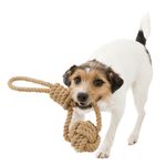 214683-PHO-PRO-DOG-CLIP-32632-32633-1.jpg