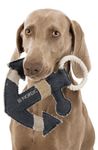 214713-PHO-PRO-DOG-CLIP-35651-1.jpg