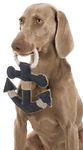 214714-PHO-PRO-DOG-CLIP-35651-2.jpg