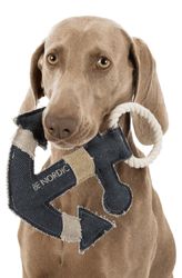 214713-PHO-PRO-DOG-CLIP-35651-1.jpg 214713-PHO-PRO-DOG-CLIP-35651-1.jpg
