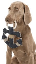 214714-PHO-PRO-DOG-CLIP-35651-2.jpg 214714-PHO-PRO-DOG-CLIP-35651-2.jpg