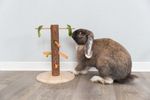 270038-PHO-PRO-SANIMAL-61199-1.jpg