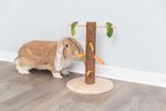 270039-PHO-PRO-SANIMAL-61199-2.jpg