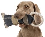 214706-PHO-PRO-DOG-CLIP-35650-1.jpg