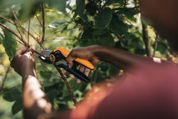 Gardening-Action-Plus-Pruner-Anvil-P741-1057171.jpg Gardening-Action-Plus-Pruner-Anvil-P741-1057171.jpg