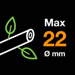 1057172-Fresh-wood-max---22mm-1x1.jpg 1057172-Fresh-wood-max---22mm-1x1.jpg