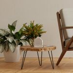 Zwitscherbox-Taupe-chair-1024x1024.jpg