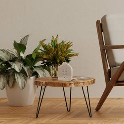 Zwitscherbox-Taupe-chair-1024x1024.jpg Zwitscherbox-Taupe-chair-1024x1024.jpg