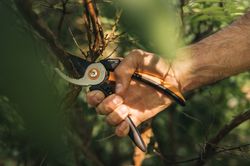 Gardening-Action-Solid-Pruner-Bypass-P341-1057164.jpg Gardening-Action-Solid-Pruner-Bypass-P341-1057164.jpg