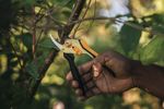 Gardening-Action-Solid-Pruner-Bypass-Steel-P331-1057163-01.jpg