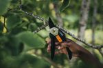 Gardening-Action-Solid-Pruner-Bypass-P121-1057160.jpg