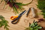 1063329-Fiskars-Solid-Cuts-More-scissors-SP341-Environment-01.jpg