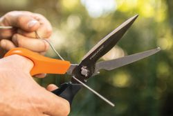Fiskars-Garden-Action-Multi-purpose-shears-SP341-1063329--6-.jpg Fiskars-Garden-Action-Multi-purpose-shears-SP341-1063329--6-.jpg