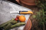 Fiskars-Gardening-Environment-Folding-produce-knife-1062819.jpg