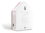 zb-red-whi--back-1024x768.jpg