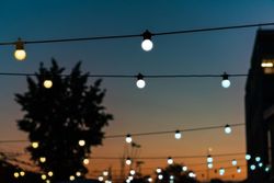 medium-TW-Festoon-AWW-03.jpg medium-TW-Festoon-AWW-03.jpg