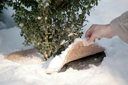 4116064-VIV27007-Videx-Winterschutz-Coco-Disc-L--Durchmesser-45cm_1.jpg 4116064-VIV27007-Videx-Winterschutz-Coco-Disc-L--Durchmesser-45cm_1.jpg