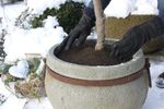 4116066-VIV28438-Videx-Winterschutz-Coco-Disc-M--Durchmesser-37cm.JPG