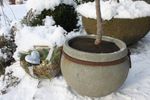 4116066-VIV28438-Videx-Winterschutz-Coco-Disc-M--Durchmesser-37cm_1.JPG