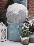 4116069-VIV27022-Videx-Winterschutz-Vlies-150x500-cm-17g-m---weiss.JPG