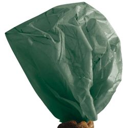4116071-VIV27131-Videx-Winterschutz-Vlies-150x500-cm-34g-m---dunkelgruen.jpg 4116071-VIV27131-Videx-Winterschutz-Vlies-150x500-cm-34g-m---dunkelgruen.jpg