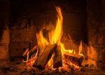 MGC0485-feuerholz-gemischt-03.jpg