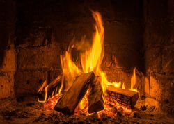 MGC0485-feuerholz-gemischt-03.jpg MGC0485-feuerholz-gemischt-03.jpg