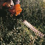 STIHL-HS-45-60cm-02.jpg