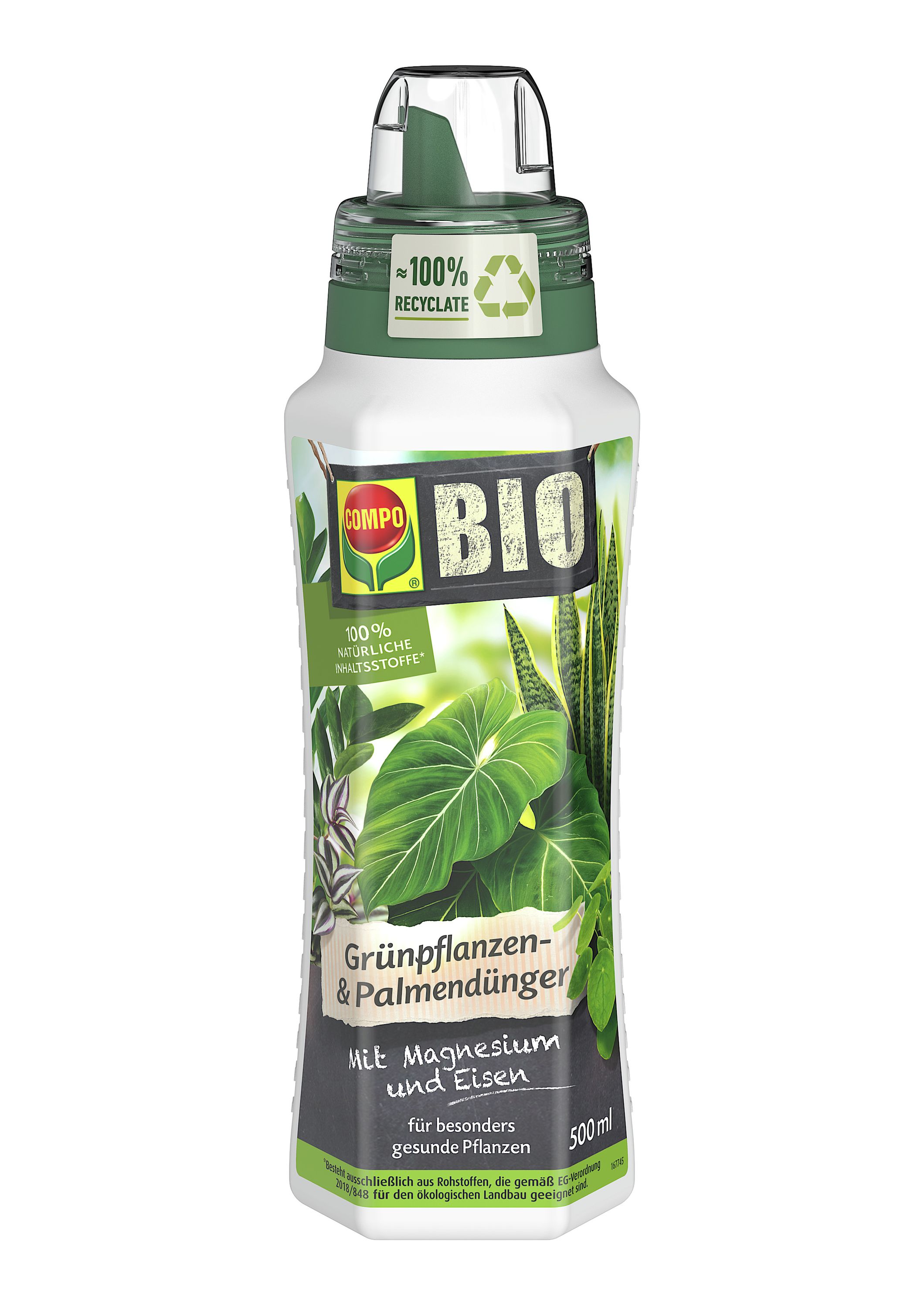 bio sprossen saatgut Saatgut Rübchen-Sprossen 'Mesophylla' Bio - Brassica rapa
