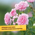 4116476-BA86601432-Solabiol-Rosenduenger-1-5kg_2.jpg